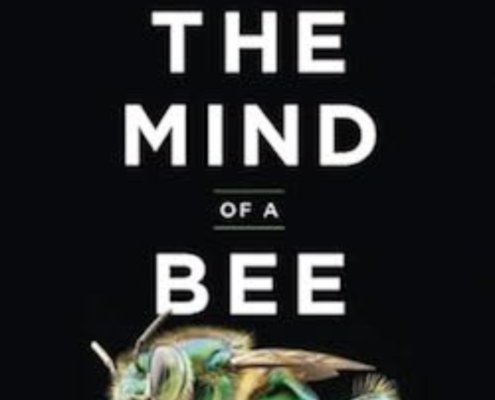 The Mind of a Bee