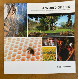 A World of Bees