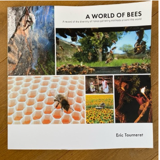 A World of Bees 